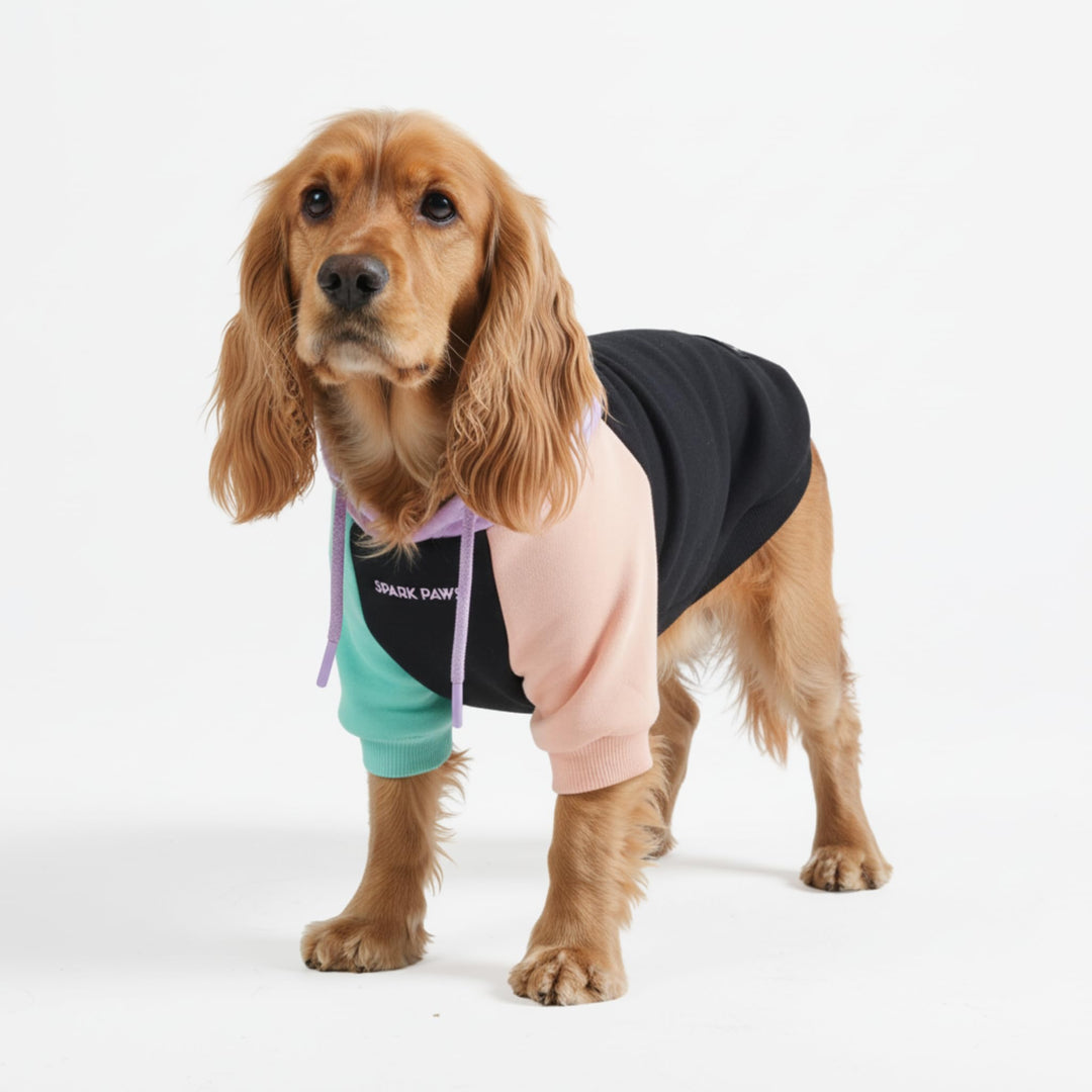 Spark Paws Hunde Hoodie Sweatshirt Pullover - Premium Qualität, weich, Komfortabel und passend für g