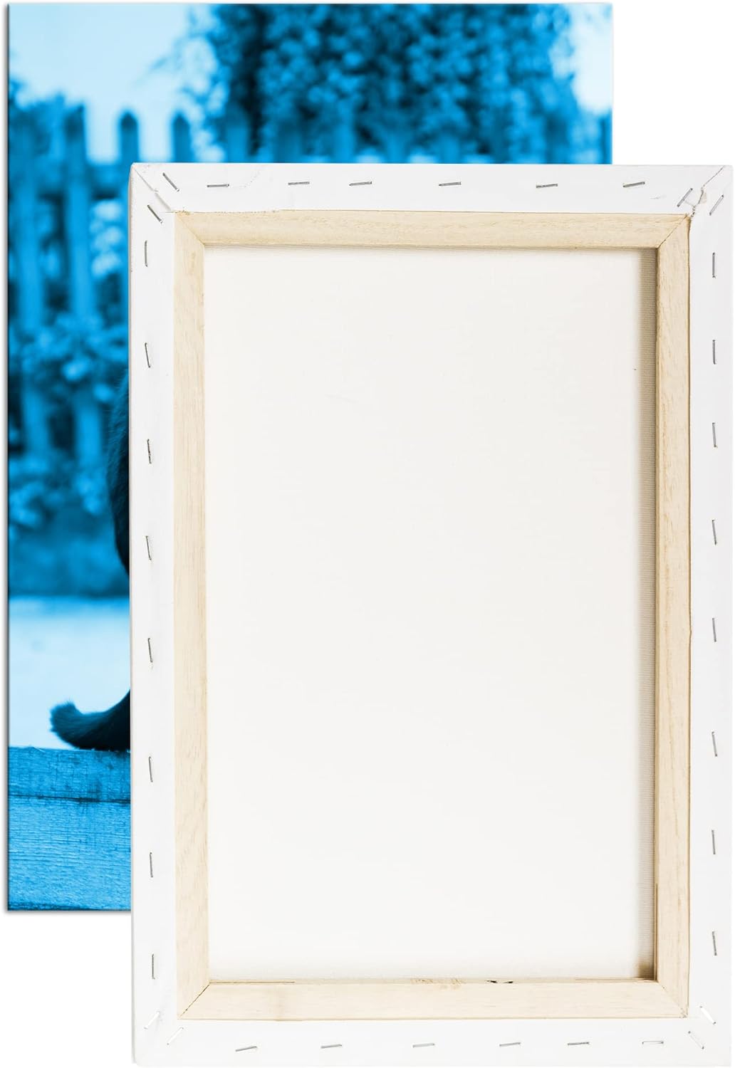 deyoli thronende Schwarze Katze Format 100x70 Effekt: Monocrome Blau als Leinwandbild, Motiv fertig