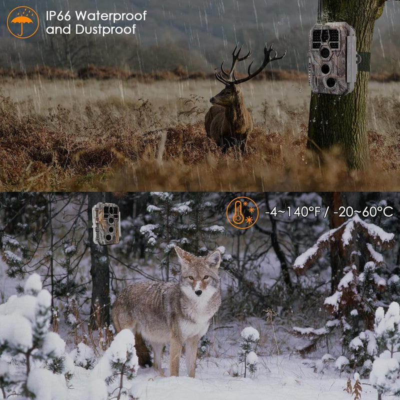 WLAN Wildkamera WiFi Wildtierkamera Nachtsichtkamera Fotofalle 32MP 1296P Verbinden druch APP Blueto