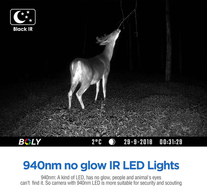 BolyGuard Camp Hight nach Camerage Camp 48MP 1080p HD HD Jagdkamera IP66 Kamera Nachtsicht Tiere 30m