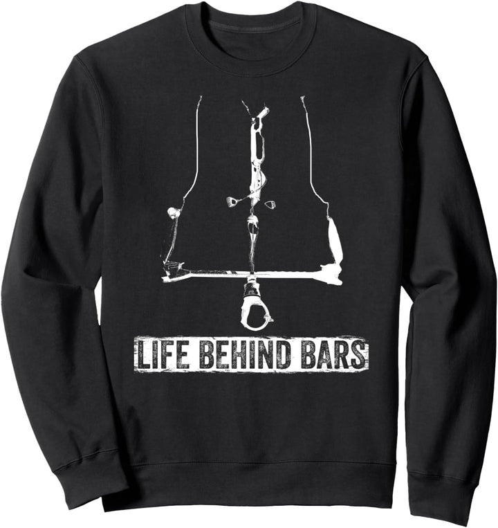 Kite Kiten Kiteboarding Kitesurfen Surf retro Geschenk Sweatshirt