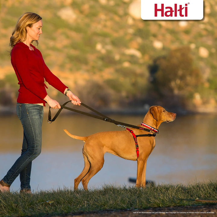 HALTI Front Control Anti-Zug Geschirr, Grösse Klein - Verhindert, dass Ihr Hund an der Leine zieht,