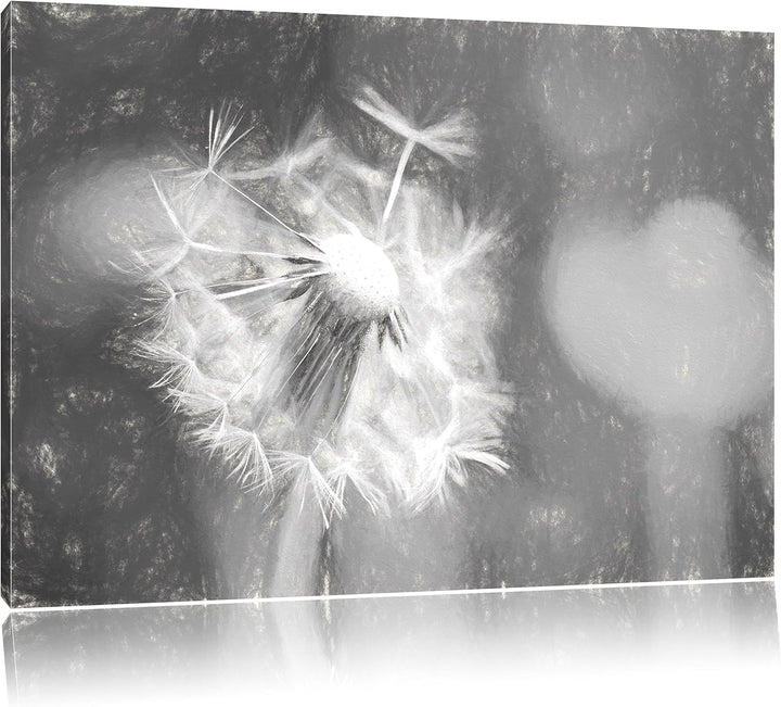 Pixxprint Schöner weisser Löwenzahn Kunst Kohle Effekt, Format: 100x70 auf Leinwand, XXL riesige Bil