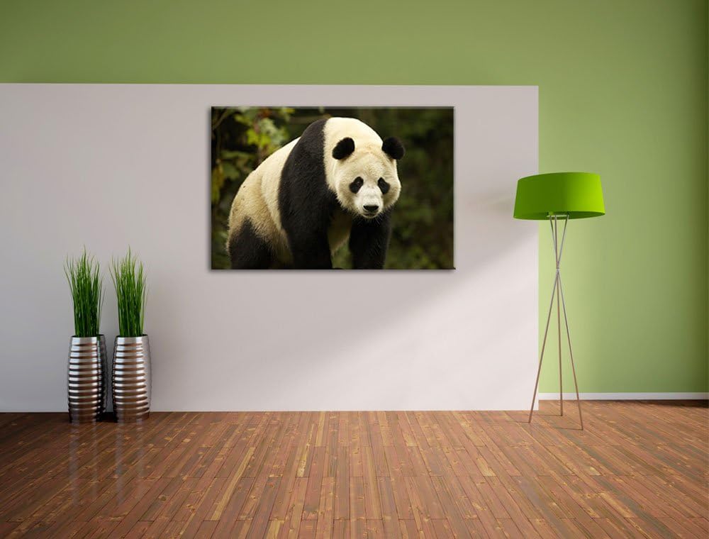 Pixxprint grosser Pandabär Leinwand, XXL riesige Bilder fertig gerahmt mit Keilrahmen, Kunstdruck au