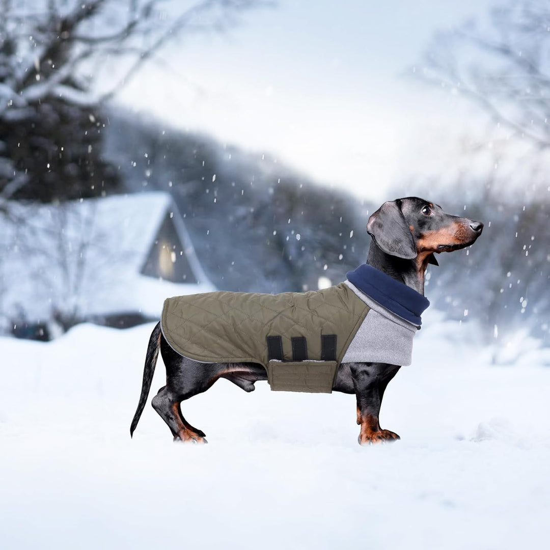 Geyecete Hundemantel Dackel, Dackel Wintermantel, Warmer Quilten Dackelmantel mit Geschirr Loch,Wind