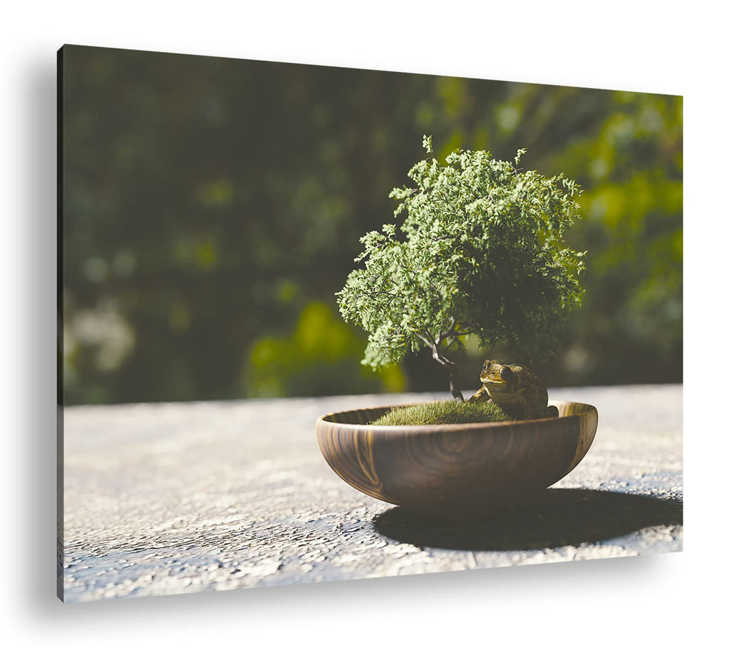 deyoli kleiner niedlicher Bonsai Format: 80x60 als Leinwandbild, Motiv fertig gerahmt auf Echtholzra