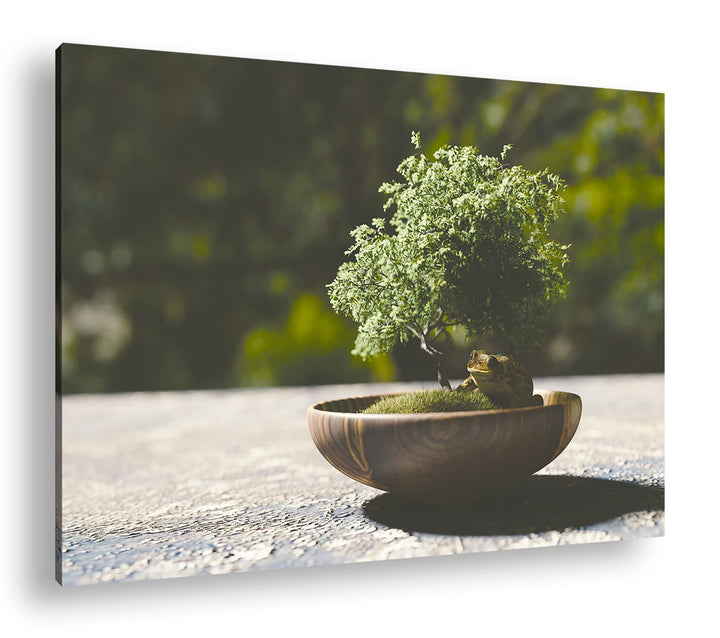 deyoli kleiner niedlicher Bonsai Format: 80x60 als Leinwandbild, Motiv fertig gerahmt auf Echtholzra
