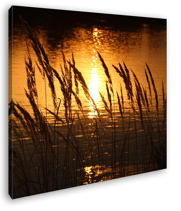 deyoli Gräser am Ufer eines Sees Format: 60x60 als Leinwand, Motiv fertig gerahmt auf Echtholzrahmen