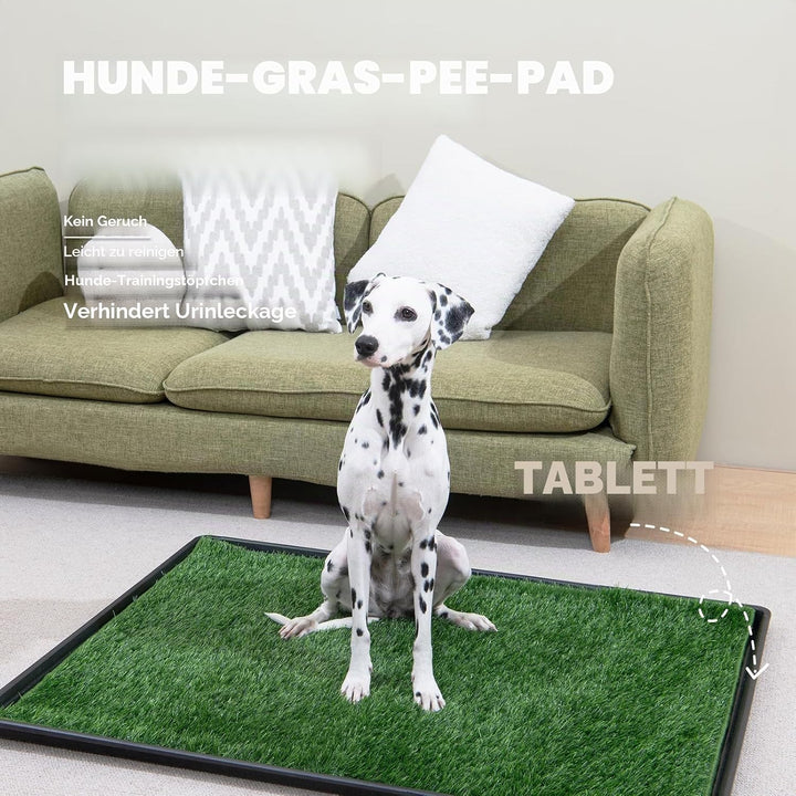 MEEXPAWS Mittelgross Hundetoilette aus Kunstrasen mit Tablett | 79×53 cm|2 Robustes Gras-Ersatzset|