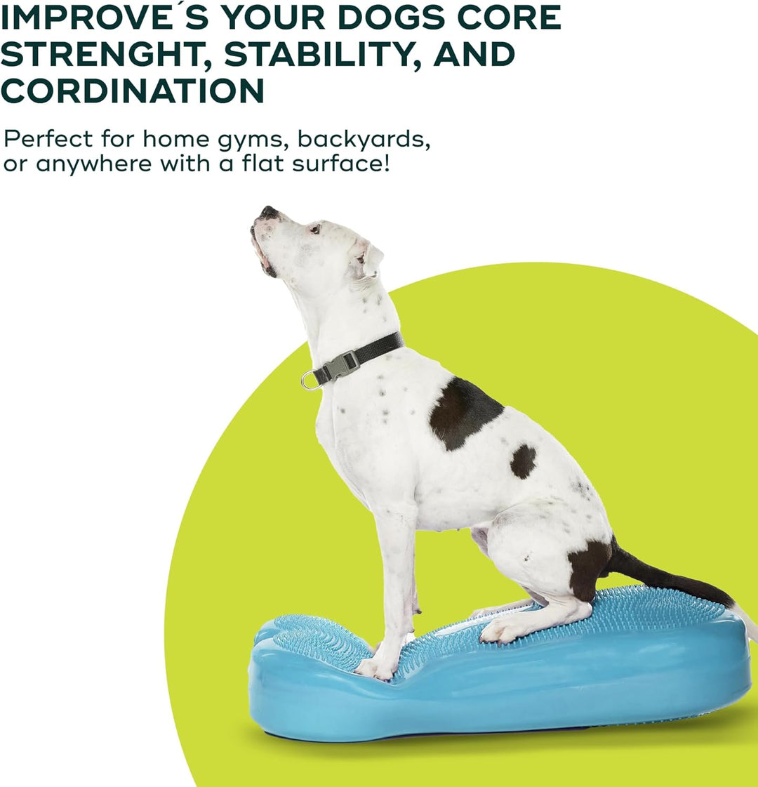 FitPAWS Giant Fitbone (blau)