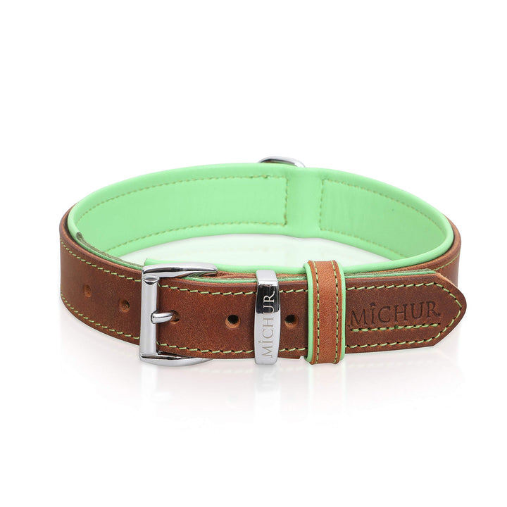MICHUR Charly Hundehalsband Leder Braun Grün, Lederhalsband Hund, Halsband, Leder, in verschiedenen
