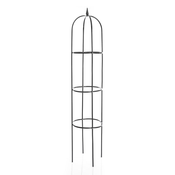 BigDean Rankhilfe Rosenbogen 40 x 200 cm grün witterungsbeständig - Obelisk Rankturm Rankenhilfe Ros