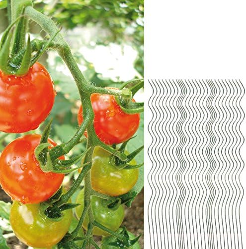 BigDean 30 Tomatenspiralstäbe 110cm voll verzinkt Tomatenstab Tomaten Ranke Pflanzstab Stahl Profi Q