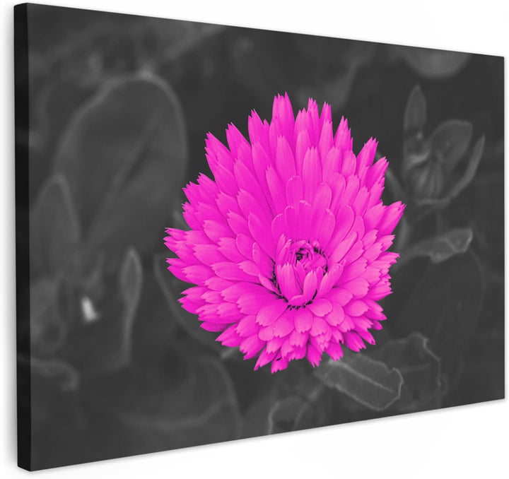 MuchoWow Leinwand Bilder, Einzigartige Wanddeko mit Rahmen, Blumen - Aquarell - Rosa, Wandbilder Woh