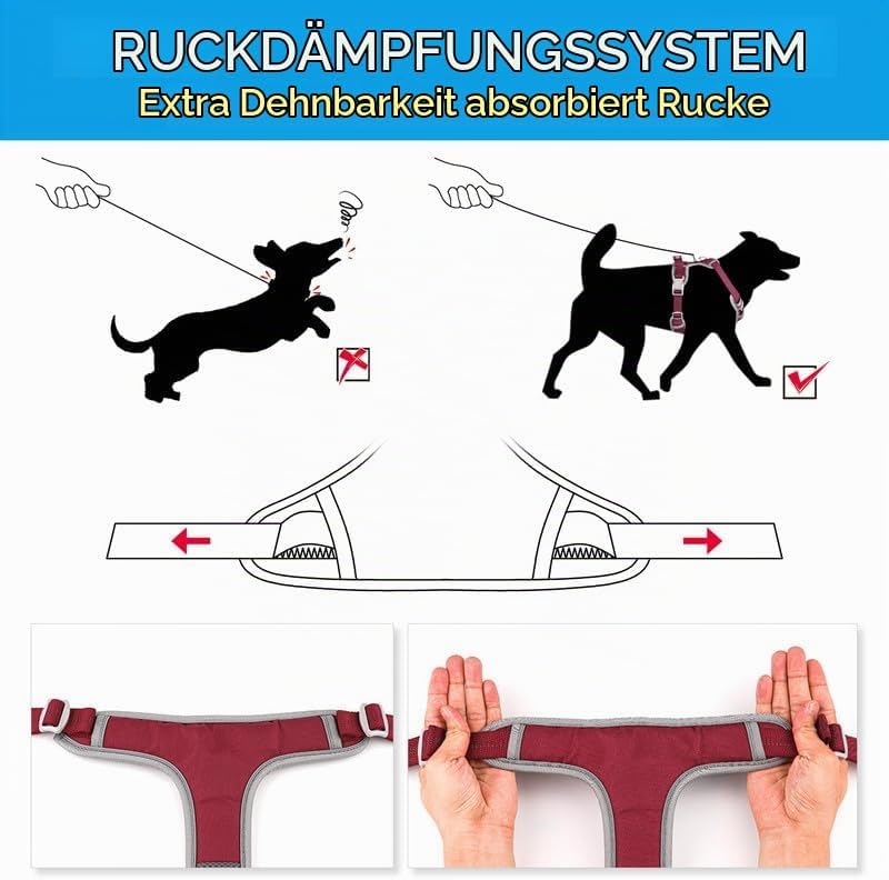 ThinkPet Anti Zug Hundegeschirr mit Griff - Verstellbar ohne Würgen, Reflektierend, Atmungsaktiv, Ge