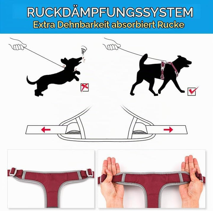 ThinkPet Anti Zug Hundegeschirr mit Griff - Verstellbar ohne Würgen, Reflektierend, Atmungsaktiv, Ge