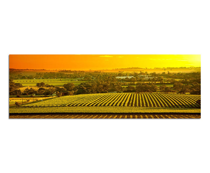 Paul Sinus Art Panoramabild auf Leinwand und Keilrahmen 150x50cm Australien Landschaft Sonnenunterga