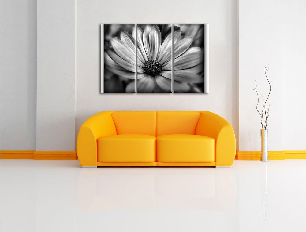 Pixxprint aussergewöhnliche Blume / 3-Teilig/Gesamtmass 120cm Leinwandbild bespannt auf Holzrahmen/W