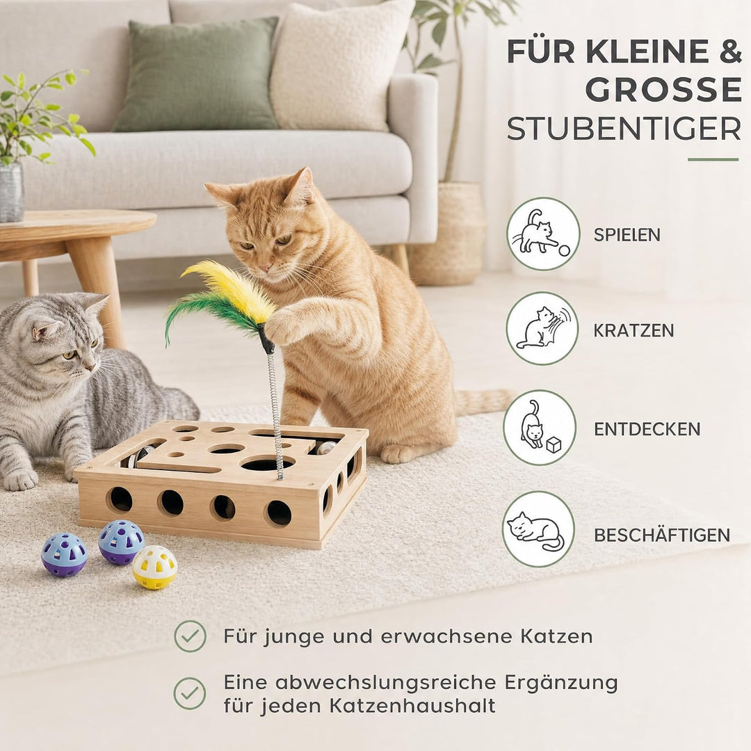 Katzenspielzeug Interaktiv mit Kratzfläche Beschäftigungsspielzeug