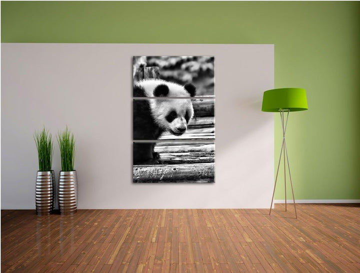 Pixxprint Panda auf Holzstämmen als Leinwandbild/Grösse: 3 Teilig (120x80) cm/Wandbild/Kunstdruck/fe