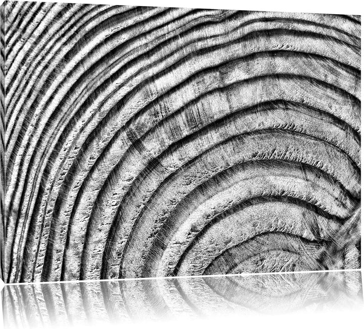 Pixxprint Baumstamm Holzringe als Leinwandbild/Grösse: 100x70 cm/Wandbild/Kunstdruck/fertig bespannt