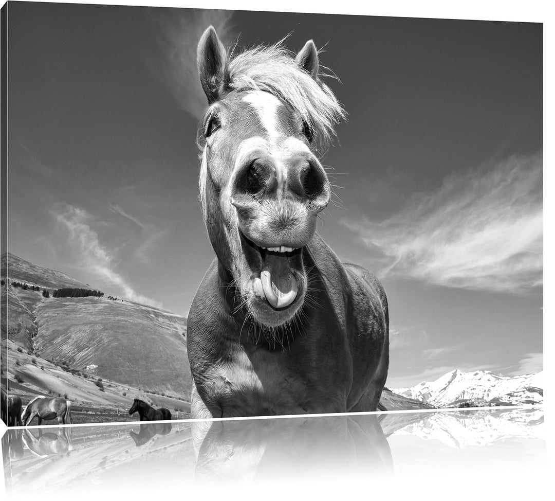Pixxprint Pferd in der Natur als Leinwandbild/Grösse: 100x70 cm/Wandbild/Kunstdruck/fertig bespannt,