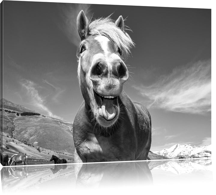 Pixxprint Pferd in der Natur als Leinwandbild/Grösse: 100x70 cm/Wandbild/Kunstdruck/fertig bespannt,