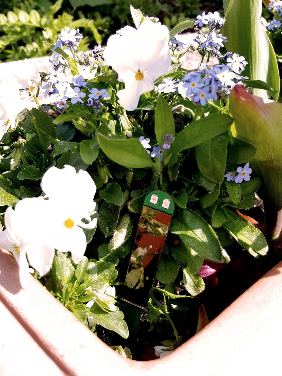 NEU Gelb (lang) - in peppiger Hülle - div. Farben - keiner reagiert schneller - Perfekter Solar-Feuc