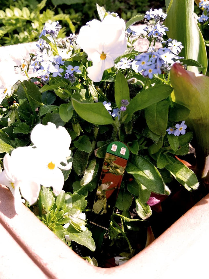 NEU Gelb (lang) - in peppiger Hülle - div. Farben - keiner reagiert schneller - Perfekter Solar-Feuc