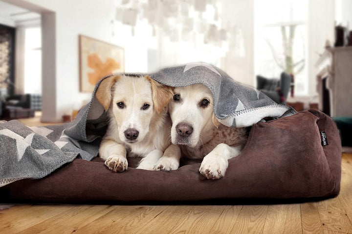 tierlando® Orthopädisches Hundebett Pluto Ortho VISCO Viscoschaum aus weichem Velours Grösse: PLV3 9