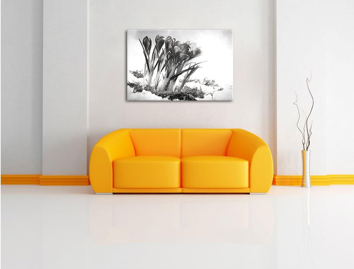 Pixxprint Frühling florwer Hintergrund als Leinwandbild/Grösse: 100x70 cm/Wandbild/Kunstdruck/fertig