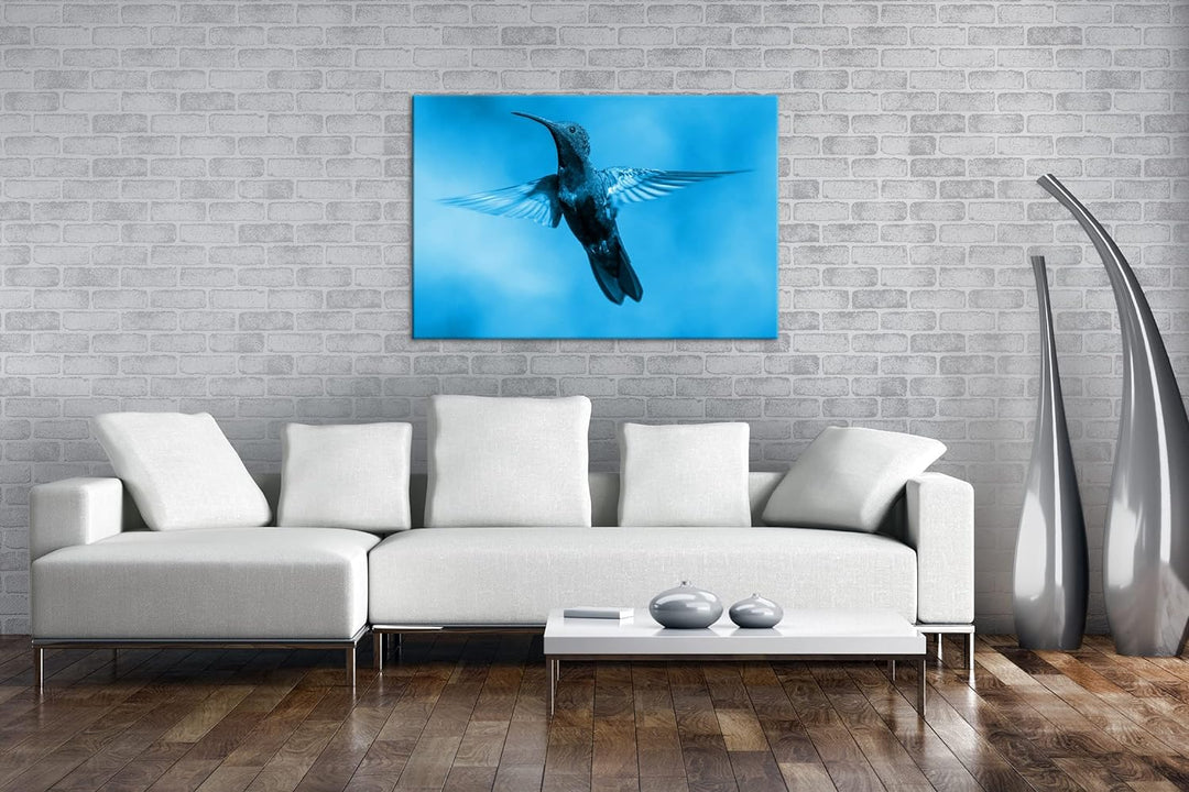deyoli flinker Kolibri Format: 80x60 Effekt: Monocrome Blau als Leinwand, Motiv fertig gerahmt auf E