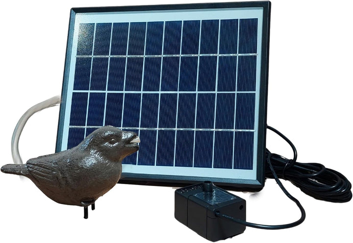 Storm&