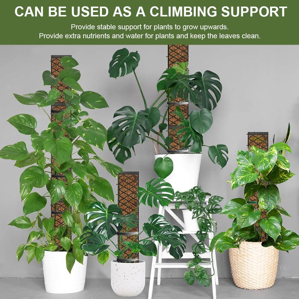 6pcs Moosstab für Monstera Rankhilfe, Selbstbewässerung Moosstab,mit Giesshilfe und Kabelbinder, Pfl