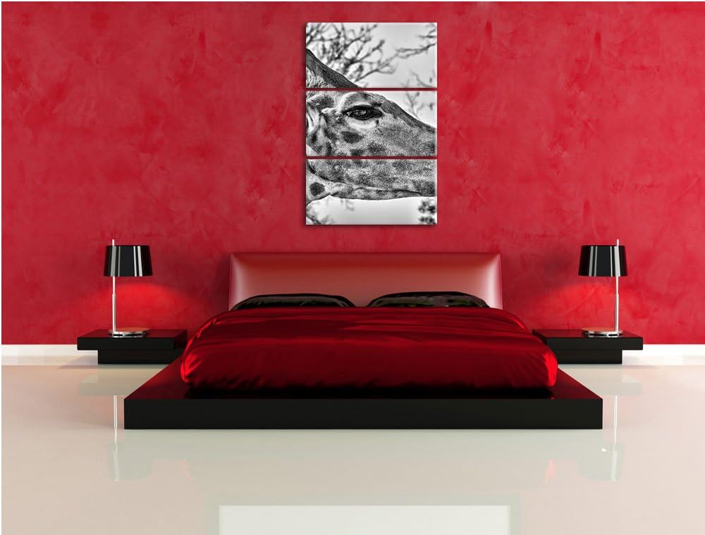 Pixxprint anmutige Giraffe isst als Leinwandbild/Grösse: 3 Teilig (120x80) cm/Wandbild/Kunstdruck/fe
