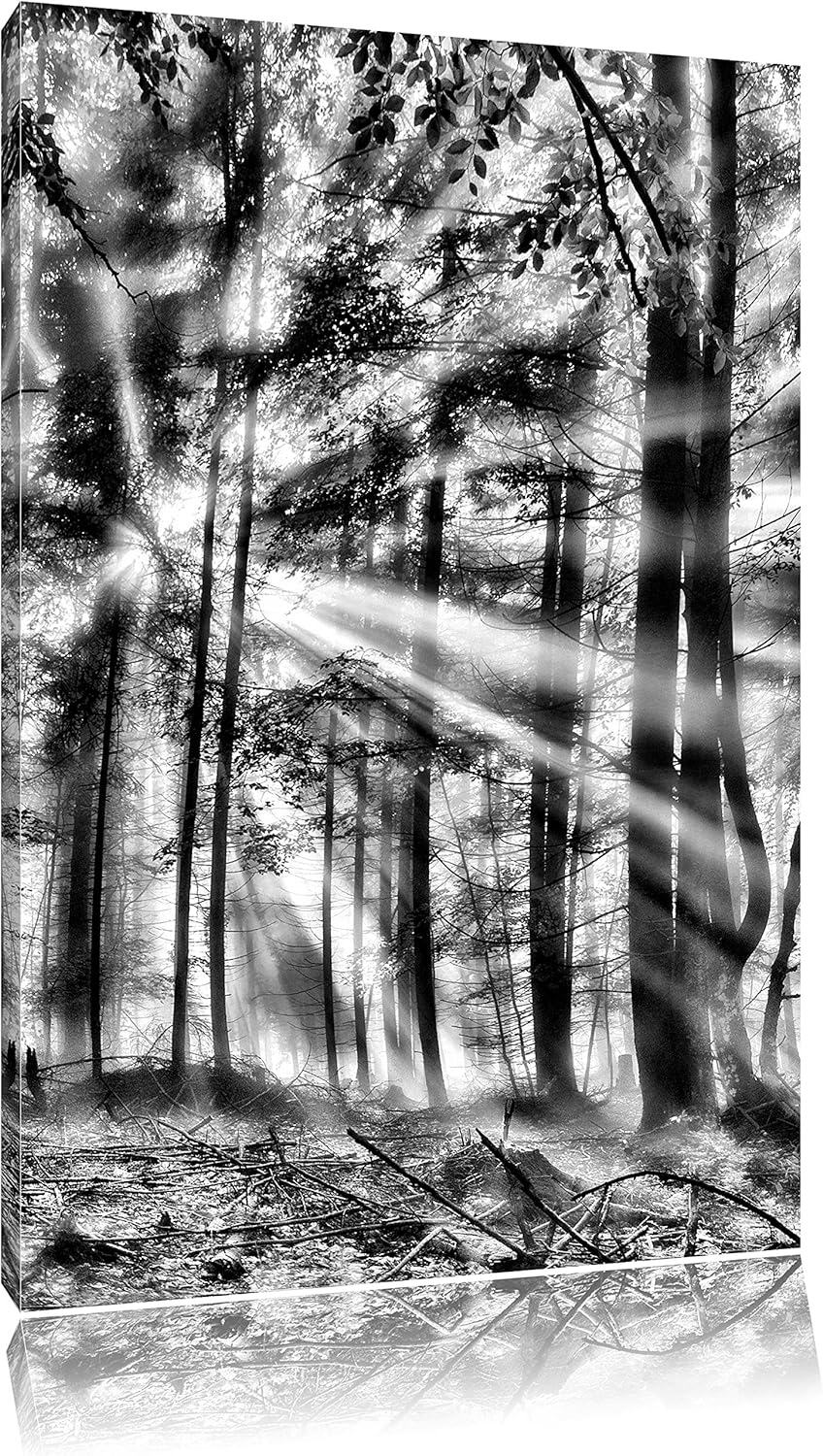 Pixxprint diesiger Waldweg / 100x70cm Leinwandbild bespannt auf Holzrahmen/Wandbild Kunstdruck Dekor