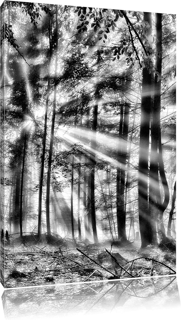 Pixxprint diesiger Waldweg / 100x70cm Leinwandbild bespannt auf Holzrahmen/Wandbild Kunstdruck Dekor