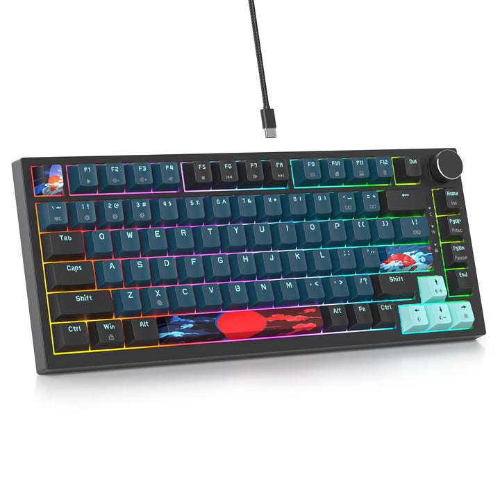 SOLIDEE Verkabelte 75% Mechanische Gaming-Tastatur, Hot-Swap-Fähig Mit Gasket Struktur, RGB-Hintergr