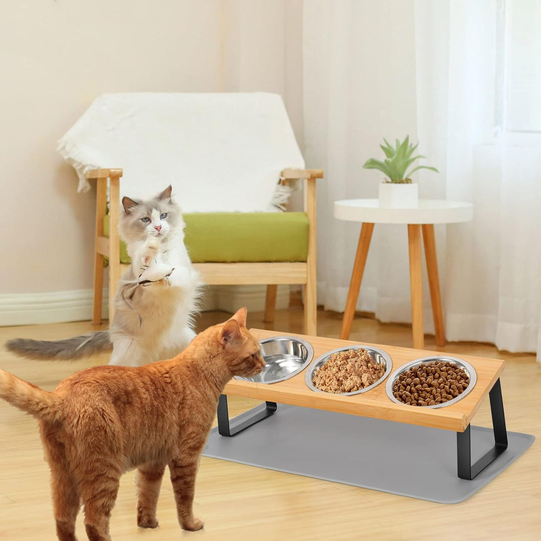 Cinnani Hundenapf oder Katzennapf 10 cm hoch,350ml pro Futternapf,Trocken-und Nasstrennung,Regal aus