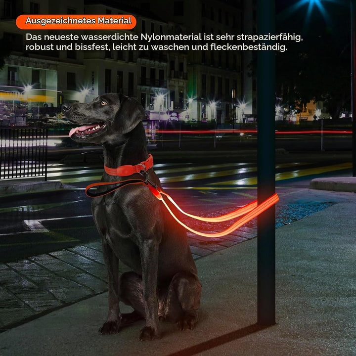 ChalkLit LED Hundeleine, Beleuchtete Hundeleine über USB Wiederaufladbar, 1,2 m, Weich Wasserdicht R