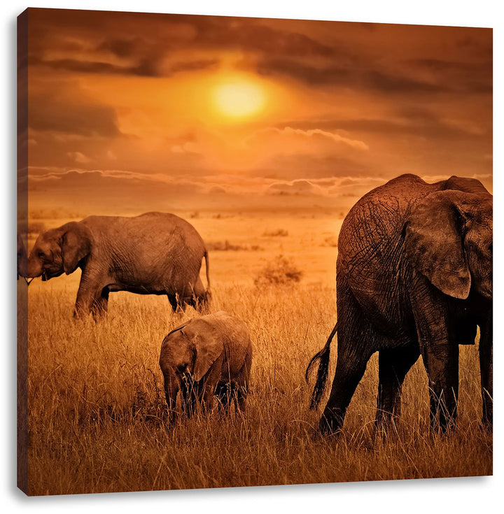 Pixxprint Elefanten in der Savanne als Leinwandbild Quadratisch/Grösse: 70x70 / Wandbild/Kunstdruck/