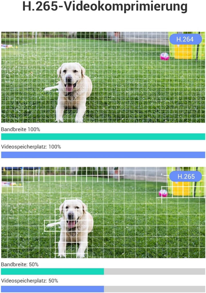 EZVIZ 1080P WLAN IP Kamera, Überwachungskamera mit 30 Meter Farbnachtsicht, KI Personenerkennung, Ak