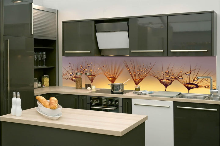 DIMEX Küchenrückwand Folie Selbstklebend Tropfen AUF LÖWENZAHN 260 x 60 cm | Klebefolie - Dekofolie