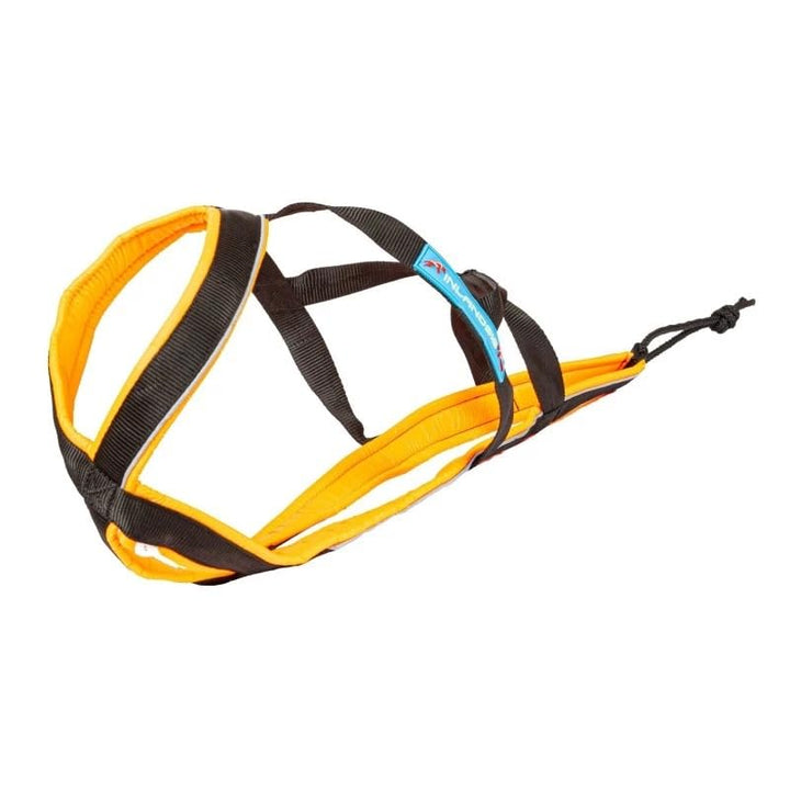 Vielseitiges Hundegeschirr Inlandsis Polar Quest X-Back – leicht, ergonomisch und widerstandsfähig –