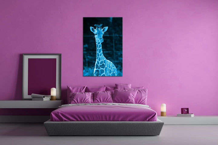 deyoli süsse junge Giraffe Format 80x60 Effekt: Monocrome Blau als Leinwandbild, Motiv fertig gerahm