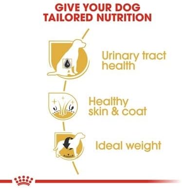 Royal Canin Bichon Frise Hundefutter für ausgewachsene Hunde, 1,5 kg, 2 Stück