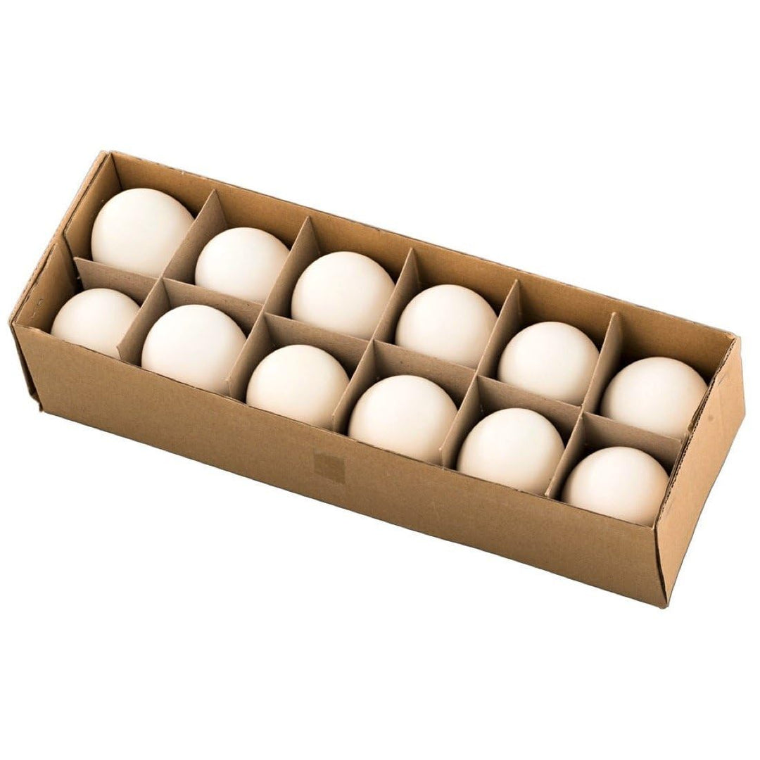NaDeco - Echte Gänseeier gross im Karton (12 Stück, 7-9cm) - Osterdeko & Ostereier für stilvolle Ost