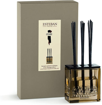 Cedre, Zeder - Estéban Diffuser 250 ml Bouquet parfumé Triptyque, Raumduft Mehrfarbig 250 ml (1er Pa