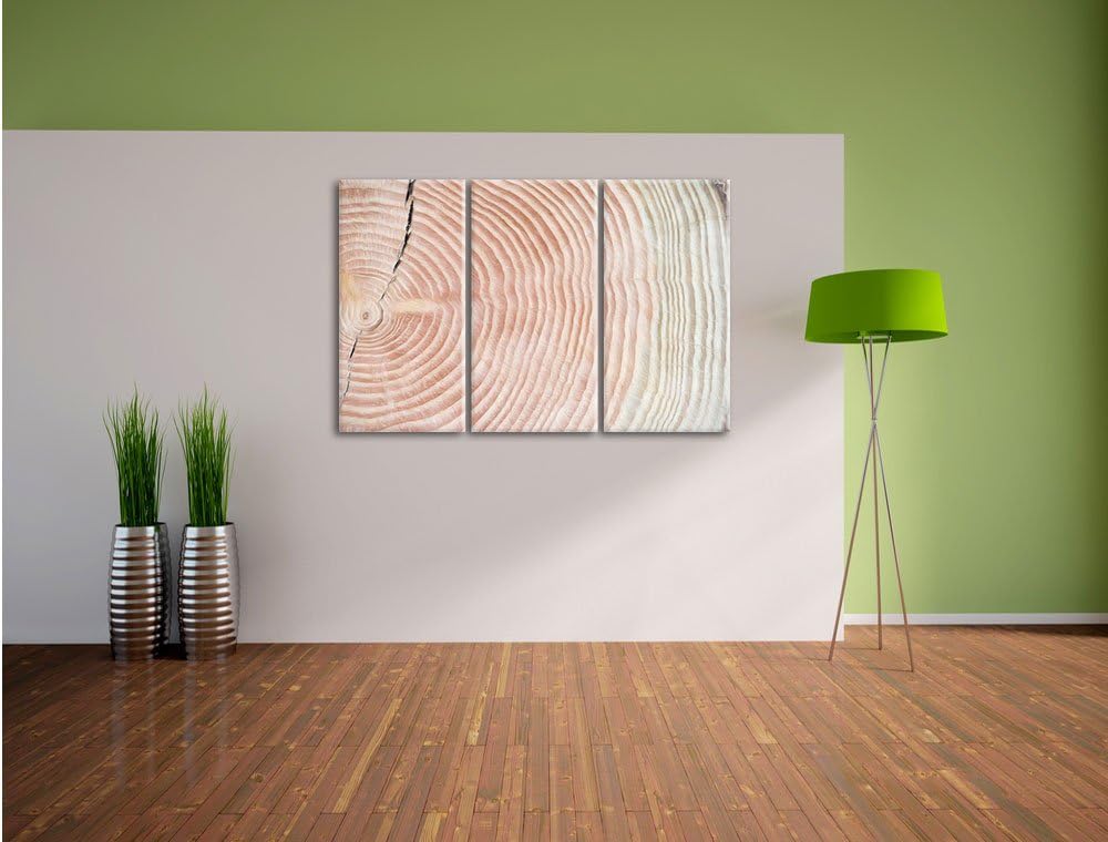 Pixxprint Baumstamm Jahresringe als Leinwandbild/Grösse: 3 Teilig (120x80 cm) cm/Wandbild/Kunstdruck