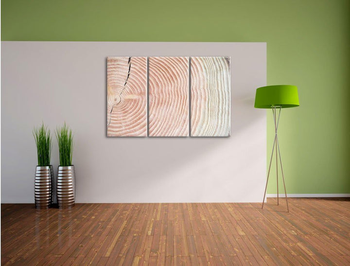 Pixxprint Baumstamm Jahresringe als Leinwandbild/Grösse: 3 Teilig (120x80 cm) cm/Wandbild/Kunstdruck